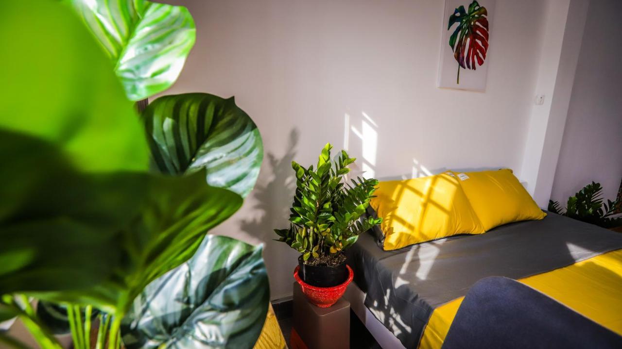 Feli Home 2 - Peaceful House TP. Hồ Chí Minh Ngoại thất bức ảnh